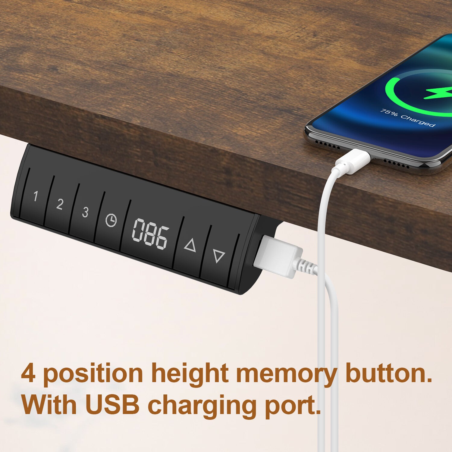 Electric Standing Desk with Integrated USB Charging Port - Single Surface Design