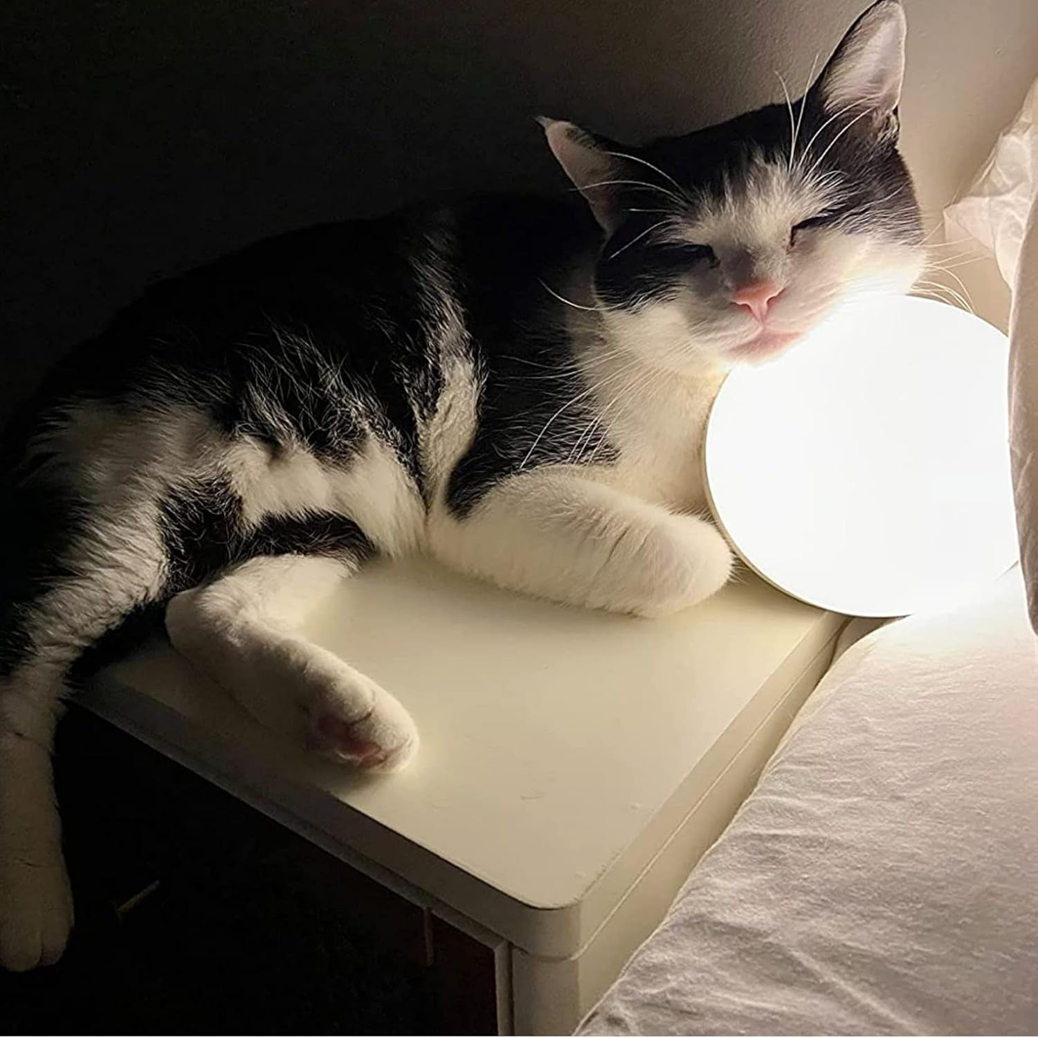 Smart Table Lamp, Dimmable Desk Lamp with App/Voice Control, LED RGB Color Changing Touch Lamp, Night Lamp for Bedroom Compatible with Alexa and Google Home