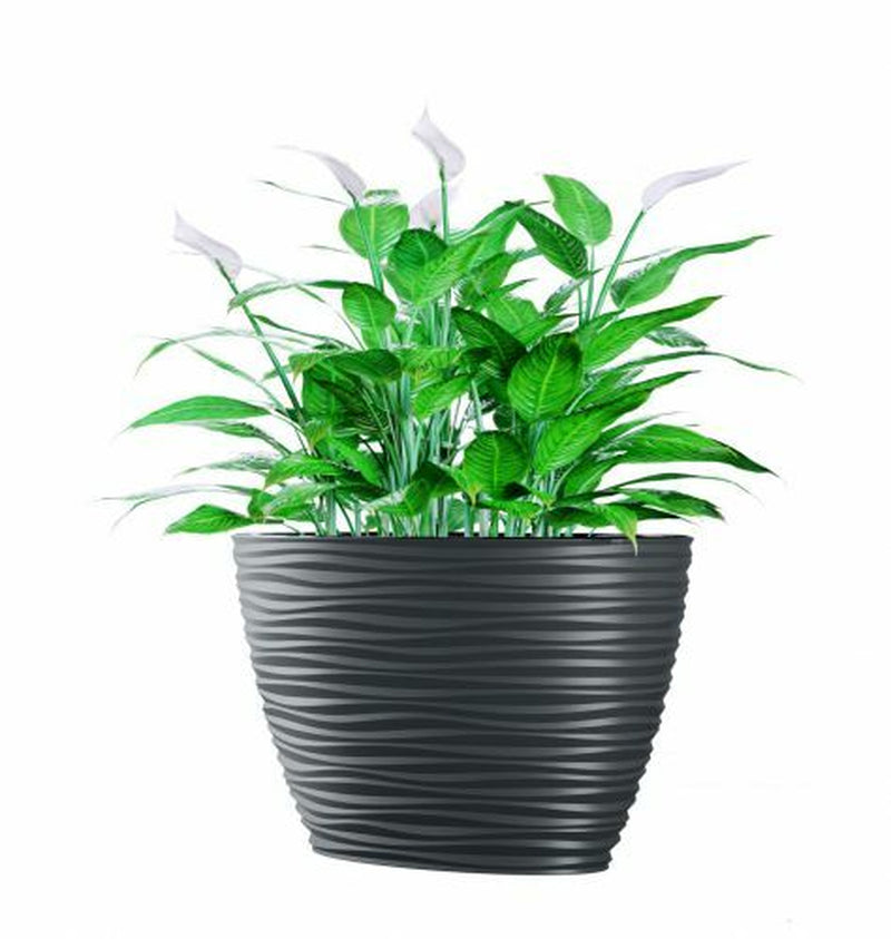 Large Tall Plant Pot Oval Ellipse Dunes Flower Indoor Garden Patio Planter